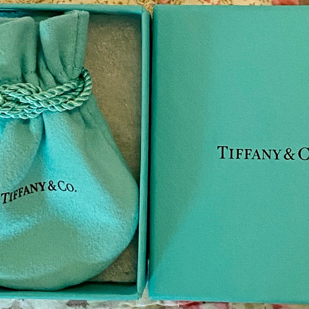 Tiffany & Co. Horseshoe Necklace